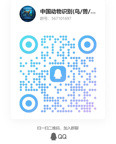 QQ群二维码