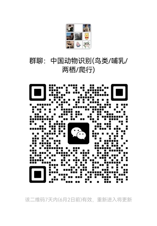 微信群二维码